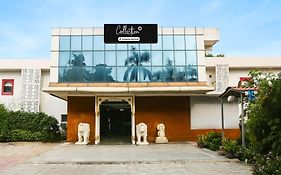 Collection O Bhiwadi
